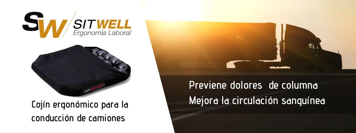 COJINES ERGONÓMICOS