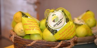 El limón y sus características saludables