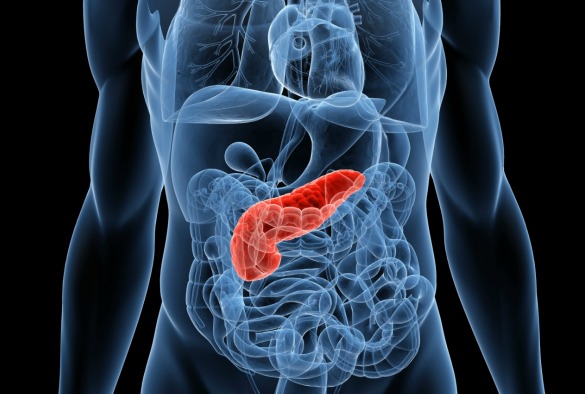Páncreas Gastroenterología