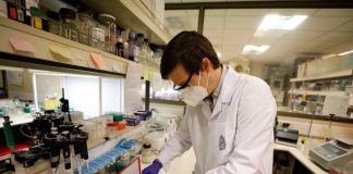 Científicos chilenos establecen relación  entre Virus Herpes Simple y Esclerosis Múltiple