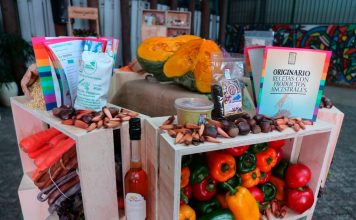 En el Día de la Cocina Chilena, autoridades destacan el aporte de los alimentos ancestrales saludables