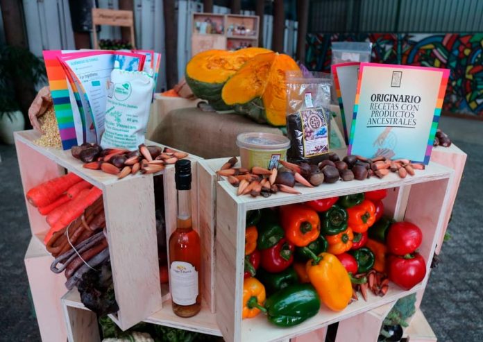 En el Día de la Cocina Chilena, autoridades destacan el aporte de los alimentos ancestrales saludables