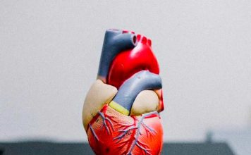 Mes del Corazón: Enfermedad del Nodo Sinusal: cuando falla el marcapasos natural del corazón