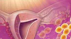 Investigadores analizan cómo las hormonas sexuales esteroideas cambian la microbiota intestinal y vaginal