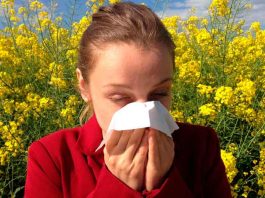 Conoce las novedades que brinda la naturaleza para combatir las alergias