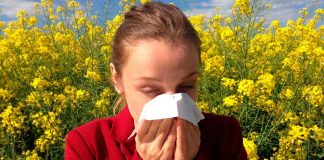 Conoce las novedades que brinda la naturaleza para combatir las alergias