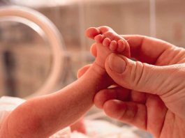 Día Mundial del Niño Prematuro: Especialistas en alerta por aumentos de tasas de partos prematuros en el país