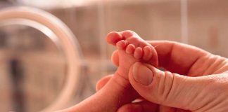 Día Mundial del Niño Prematuro: Especialistas en alerta por aumentos de tasas de partos prematuros en el país