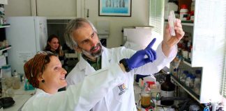 Investigadores chilenos se adjudican en EE.UU patente de fármaco con propiedades antibióticas a partir del erizo negro de mar