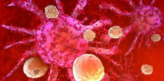 Estudio de Mayo Clinic descubre que el sistema inmunitario responde a tratamiento oncológico con ARN mensajero  