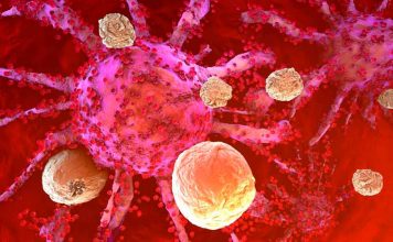 Estudio de Mayo Clinic descubre que el sistema inmunitario responde a tratamiento oncológico con ARN mensajero  
