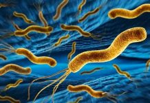 El método de secuenciación de nanoporos detecta e identifica rápidamente microbios resistentes a antibióticos, demuestra estudio de Mayo Clinic 