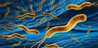 El método de secuenciación de nanoporos detecta e identifica rápidamente microbios resistentes a antibióticos, demuestra estudio de Mayo Clinic 