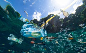 Microplásticos en los océanos: ¿Cuál es el riesgo para nuestra sangre?