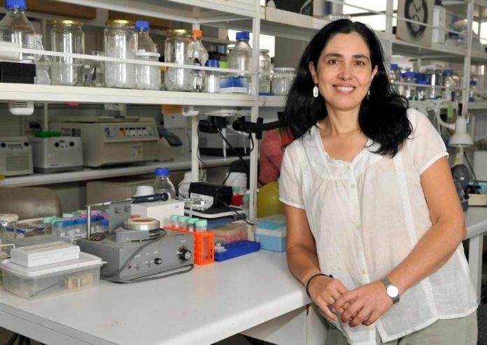 Descubrimiento científico podría generar un marcador para medir la energía del cerebro