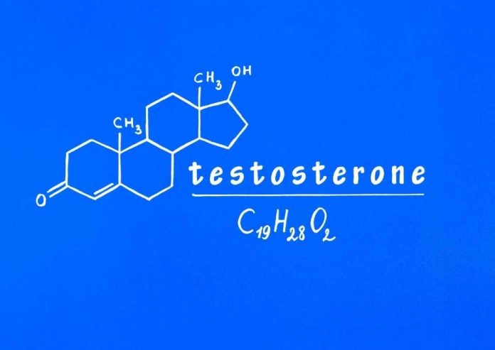 testosterona masculina