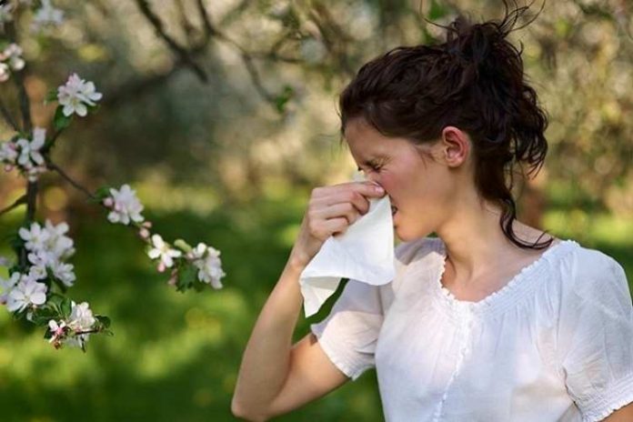 Qué hacer para evitar los cuadros alérgicos en la temporada de primavera
