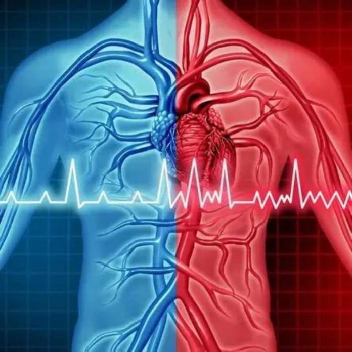 Exámenes de detección guiados por inteligencia artificial usan datos de electrocardiogramas para detectar factores de riesgo ocultos de accidente cerebrovascular