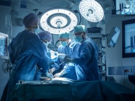 Tecnología médica de vanguardia para conservar órganos en trasplantes