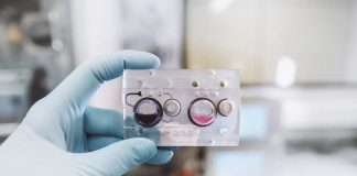 Human-on-a-chip: la metodología inédita desarrollada por Natura y LnBio es la alternativa eficiente contra pruebas de cosméticos en animales
