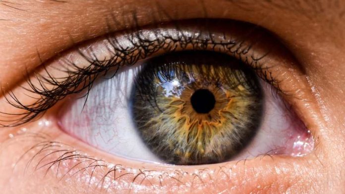 Tecnología de vanguardia permite diagnosticar el ojo seco y minimizar el uso de gotas lubricantes
