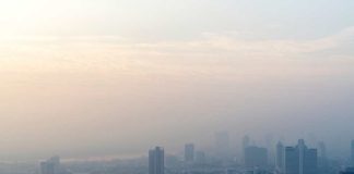 Calidad del aire, ¿cómo podemos ayudar a mejorar esta problemática