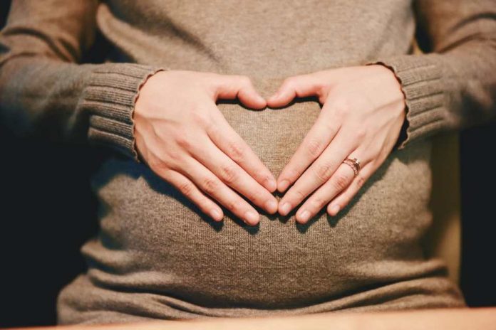 Maternidad y veganismo ¿cómo llevar una dieta basada en plantas en el embarazo y la crianza