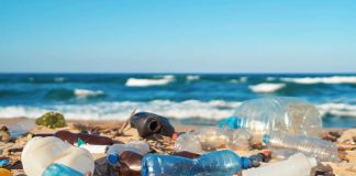 Día Mundial del Medio Ambiente 2023 se enfocará en combatir esta problemática: Cada año se producen más de 430 millones de toneladas de plástico y dos tercios son productos de corta vida