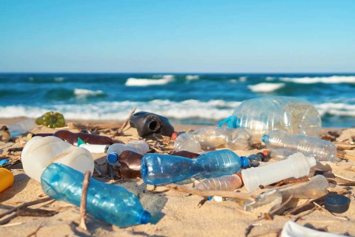 Día Mundial del Medio Ambiente 2023 se enfocará en combatir esta problemática: Cada año se producen más de 430 millones de toneladas de plástico y dos tercios son productos de corta vida