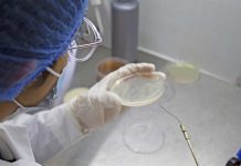 Biotech de mujeres emprendedoras lidera la producción de microorganismos en el país