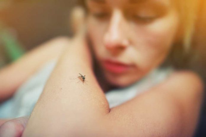 Dengue el mosquito que tiene a 7 regiones del país en alerta. Sepa cómo identificarlo y prevenir la enfermedad