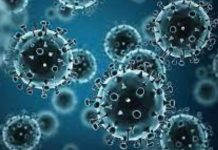 Especialistas en salud llaman al Minsal a reforzar campaña de vacunación contra la Influenza