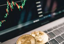 El Efecto Dominó: Cómo el Precio de Bitcoin Influye en Otras Criptomonedas