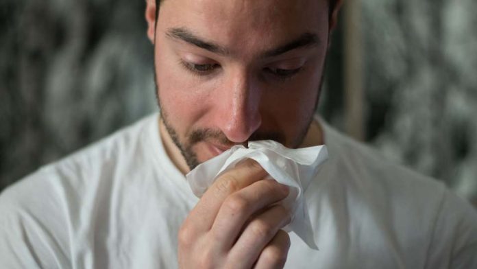 Experta nutricionista revela estrategias para mitigar alergias, eligiendo los alimentos correctos