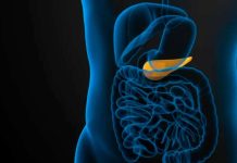 La innovación de IA de Mayo Clinic brinda esperanza en la detección temprana del cáncer de páncreas