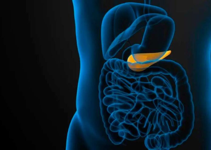 La innovación de IA de Mayo Clinic brinda esperanza en la detección temprana del cáncer de páncreas