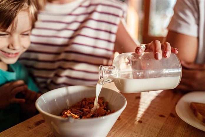 Cereales integrales al desayuno: un aliado para la nutrición 
